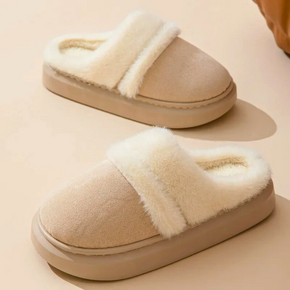 Cozy Snow